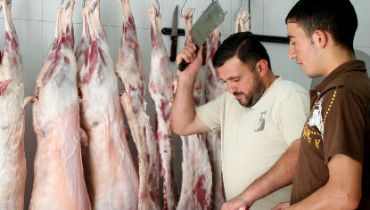 אילוסטרציה. למצולמים אין קשר לנאמר בכתבה