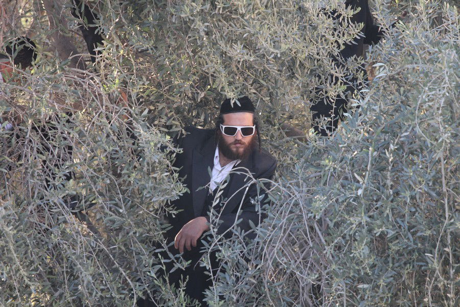 למעלה מ-50,000 איש עלו לחברון בחג הפסח • גלריה