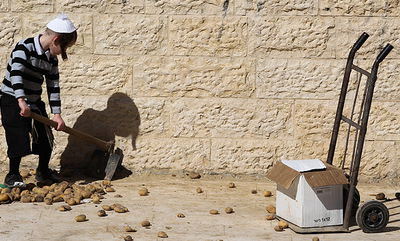 אילוסטרציה. למצולם אין קשר לנאמר בכתבה