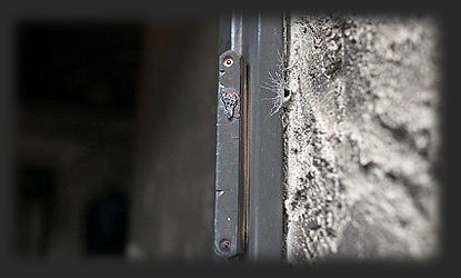 אילוסטרציה