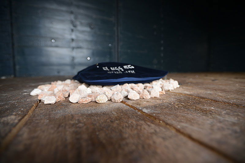 תיעוד מדהים: מצעד החיים באושוויץ