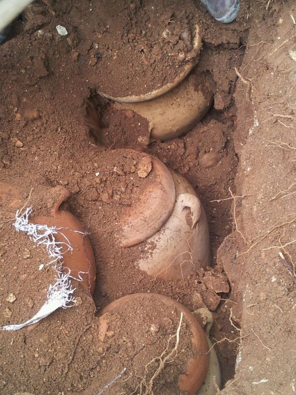 הרב יעקב יוסף זצ"ל הורה וספרי התורה נמצאו