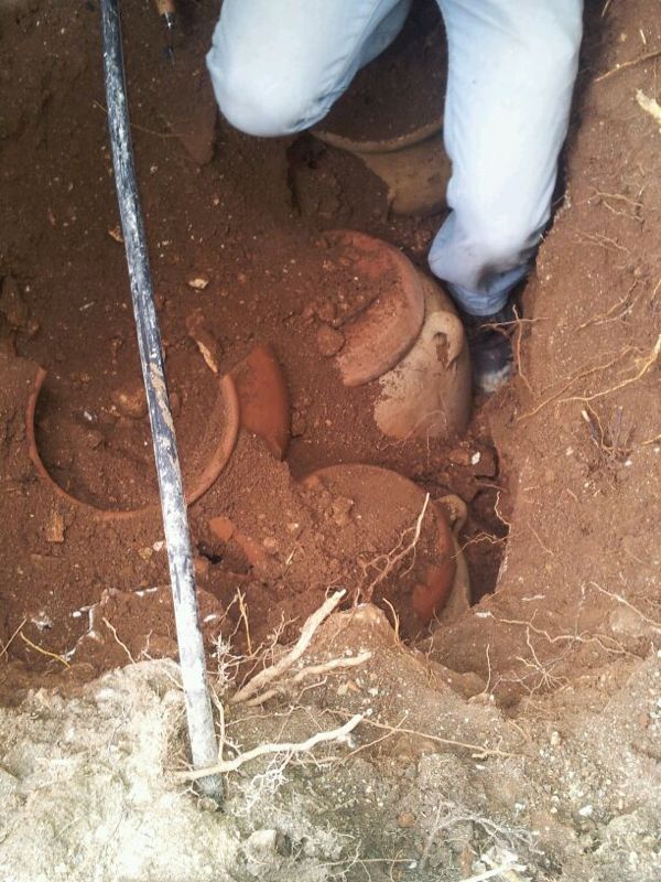 הרב יעקב יוסף זצ"ל הורה וספרי התורה נמצאו