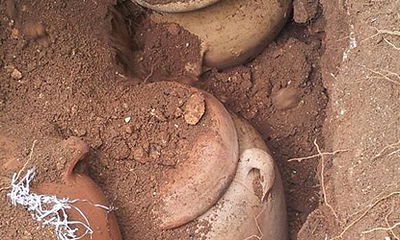 הכדים עם ספרי התורה