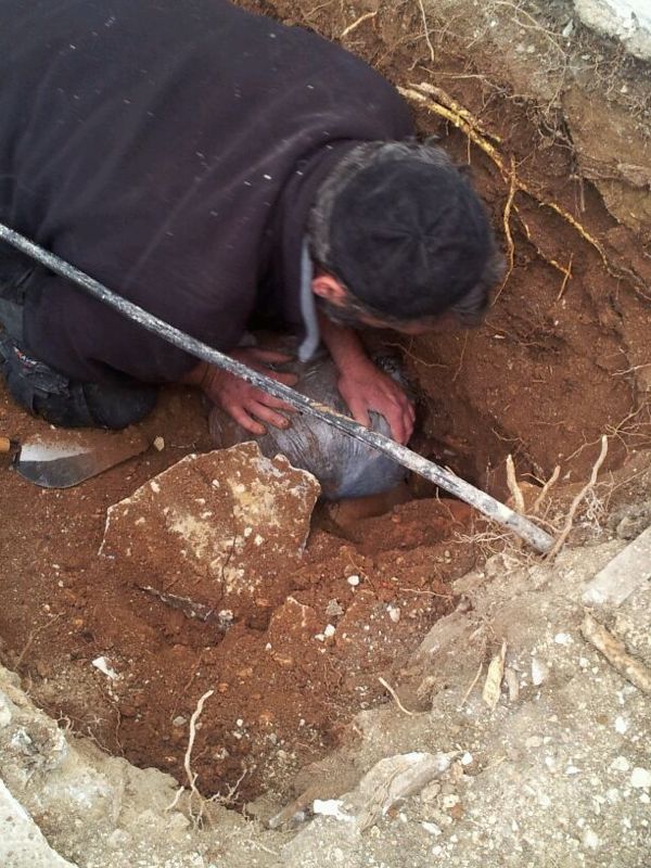 הרב יעקב יוסף זצ"ל הורה וספרי התורה נמצאו