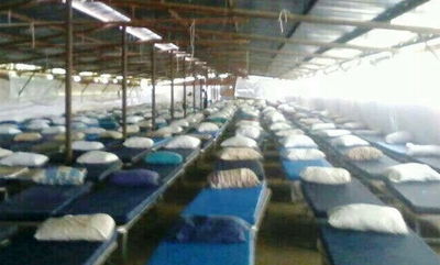 המיטות בלולי התרנגולות