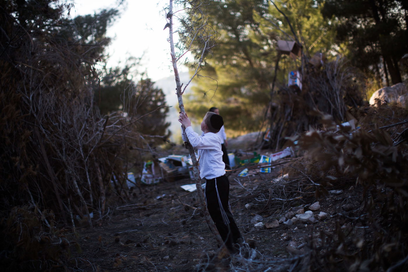 ל"ג בעומר: ילדי ירושלים נערכים למדורות • גלריה