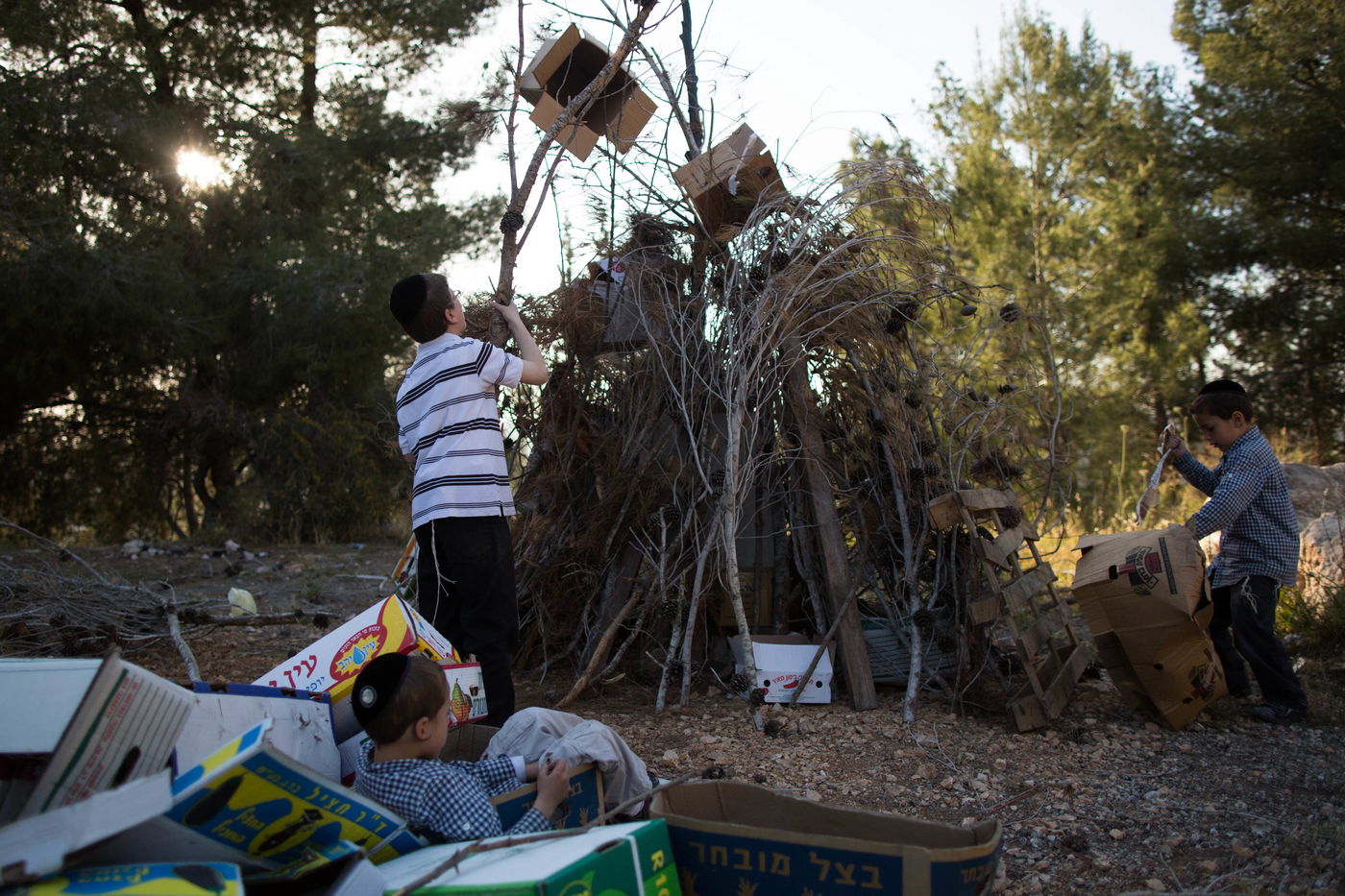 ל"ג בעומר: ילדי ירושלים נערכים למדורות • גלריה