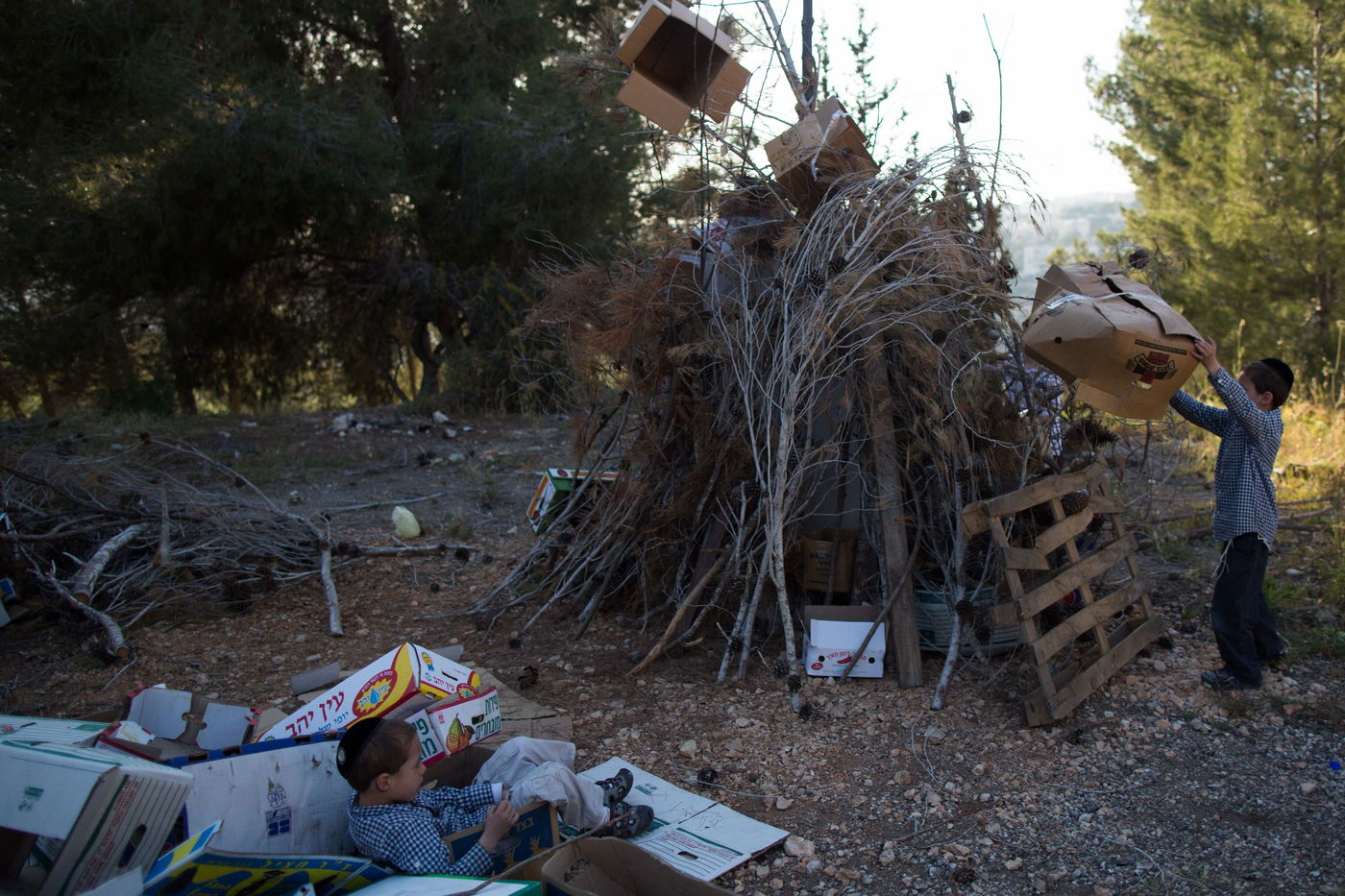 ל"ג בעומר: ילדי ירושלים נערכים למדורות • גלריה