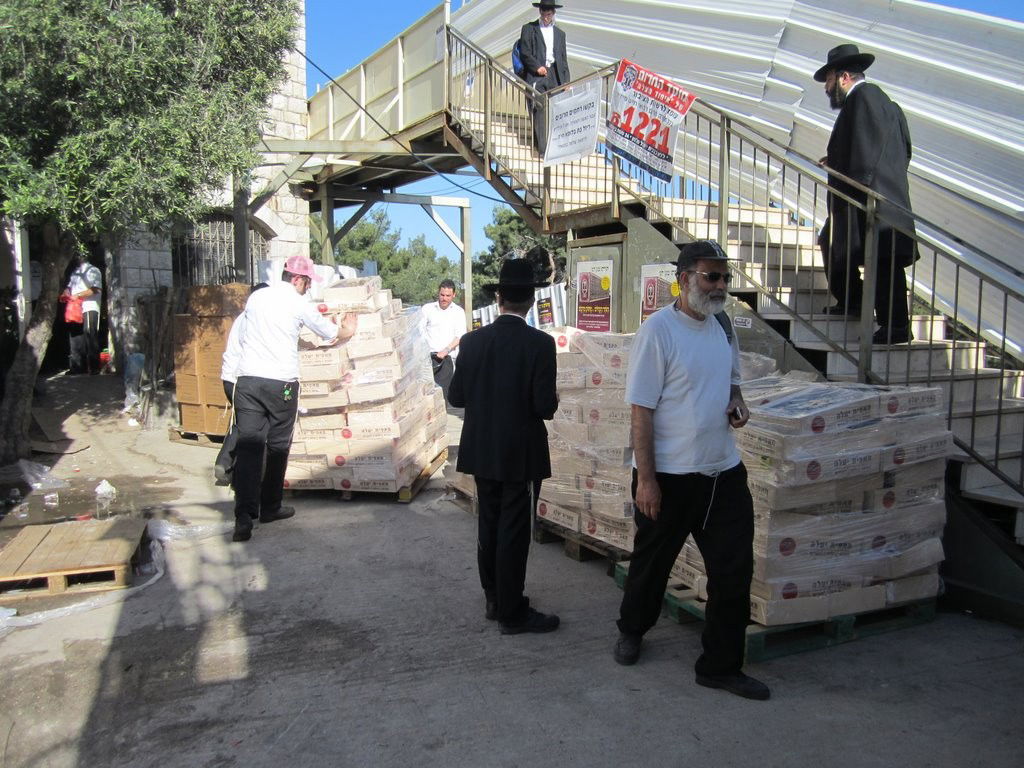 צפו: פעילות מתנדבי 'איחוד הצלה' במירון