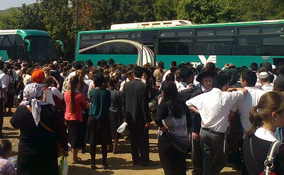 המונים מסביב לאוטובוסים במירון, היום