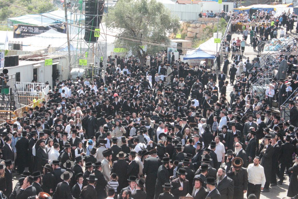 חלאקה, שרב, וח"י רוטל • מירון בוערת משמחה; צפו