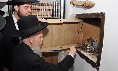 הגאון רבי גרשון אדלשטיין בשילוח הקן • גלריה