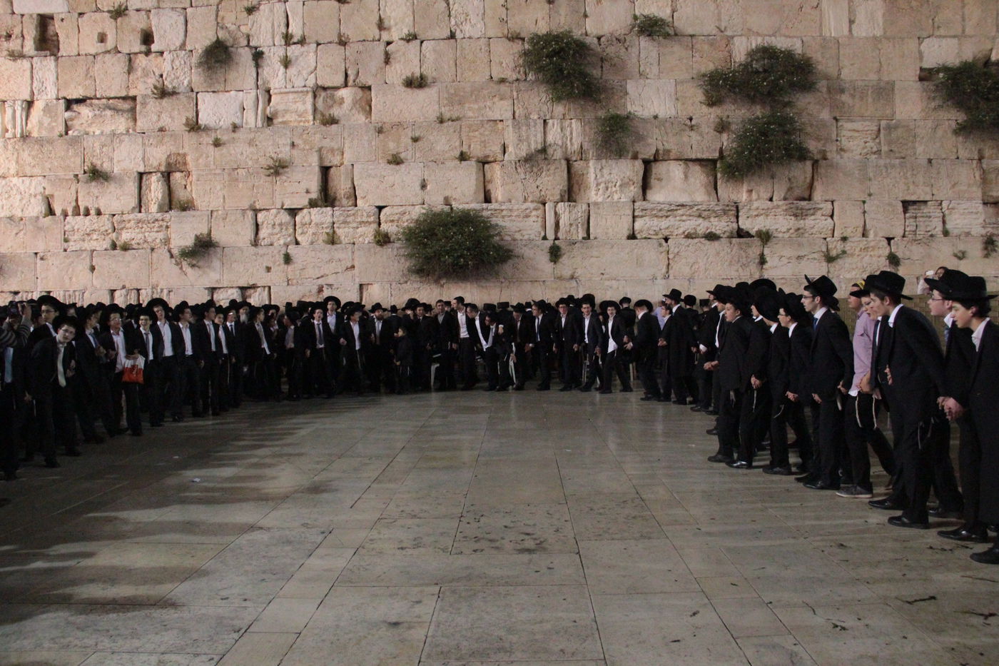 מוצאי חג השבועות בכותל המערבי: מעגל אחד, אלפי רוקדים