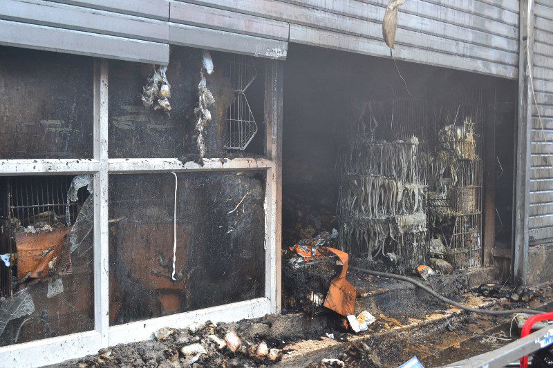 שריפה בשכונת גאולה: נזק כבד נגרם לבניין