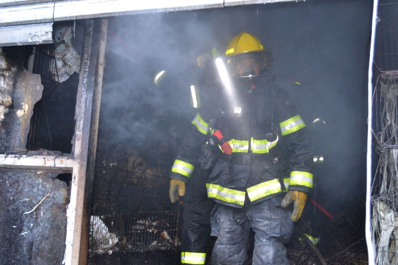 שריפה בשכונת גאולה: נזק כבד נגרם לבניין