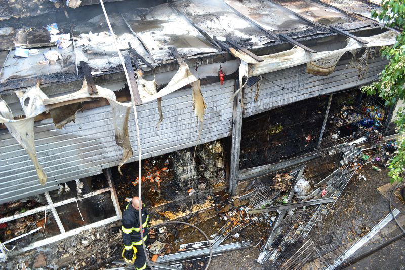 שריפה בשכונת גאולה: נזק כבד נגרם לבניין