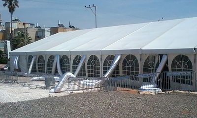 צאנז: השמחה שתיחגג אחרי 19 שנה