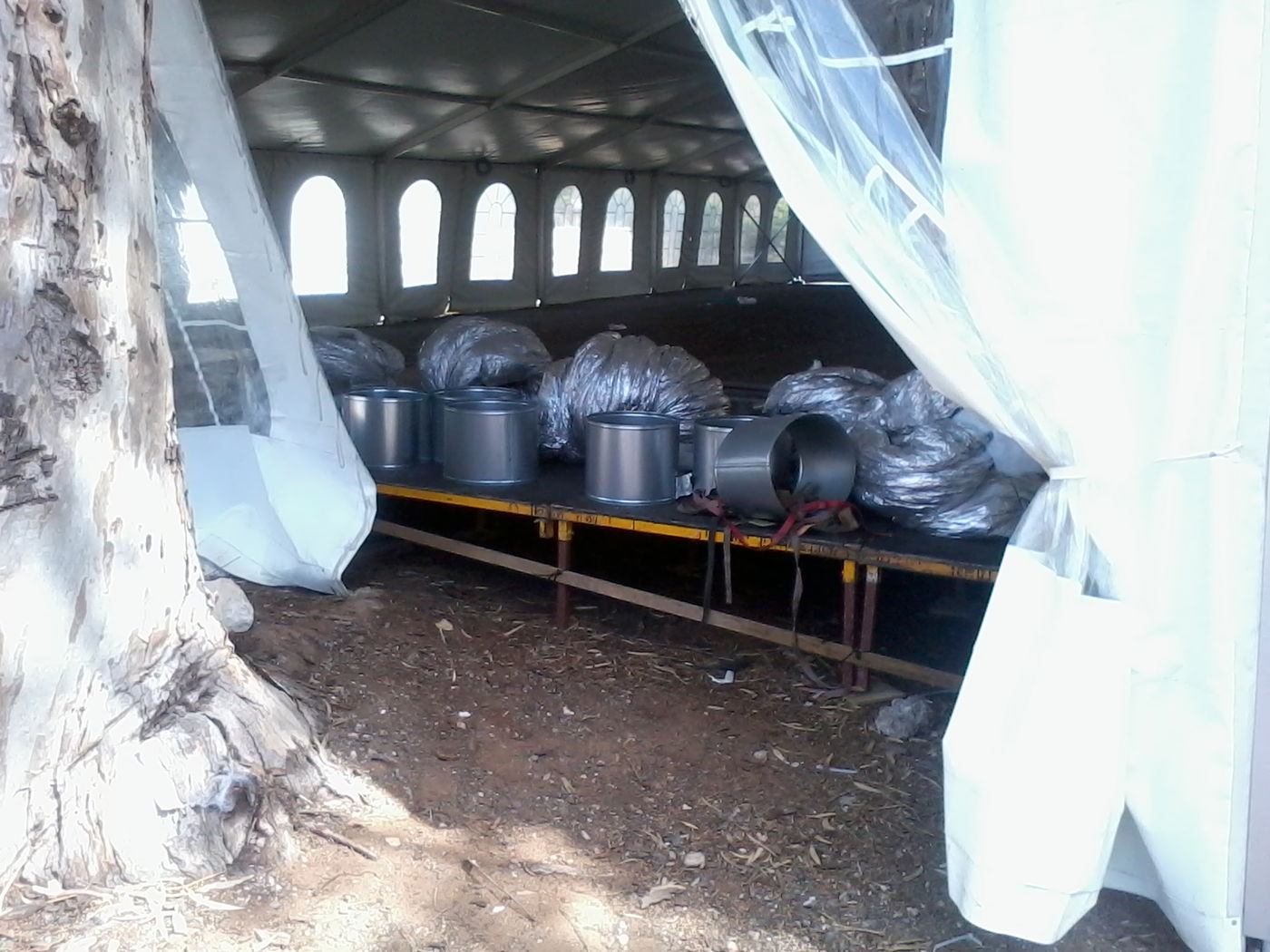 צאנז: השמחה שתיחגג אחרי 19 שנה