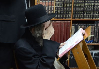 מרן הגראי"ל שטיינמן