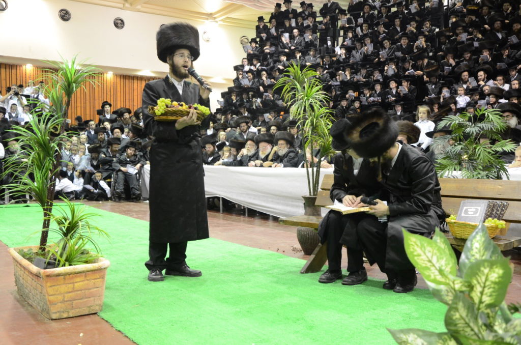 שבע ברכות אחרון בצאנז • תיעוד ענק