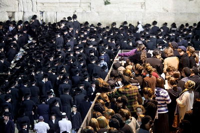 תפילת אברכים בכותל