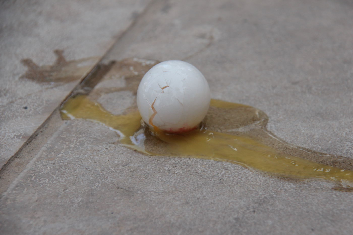 הסלקציה בכותל המערבי • תיעוד ענק