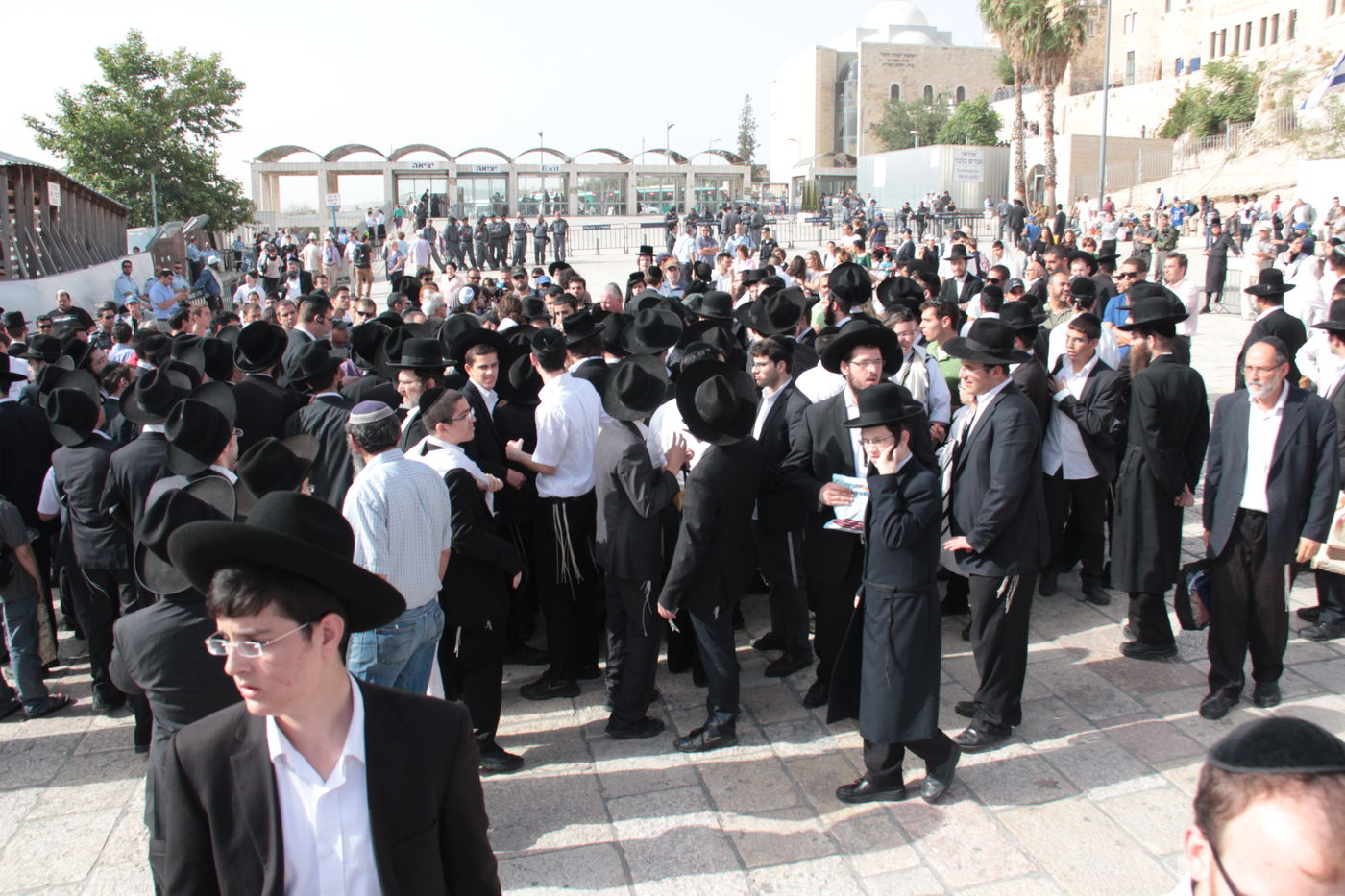 הסלקציה בכותל המערבי • תיעוד ענק