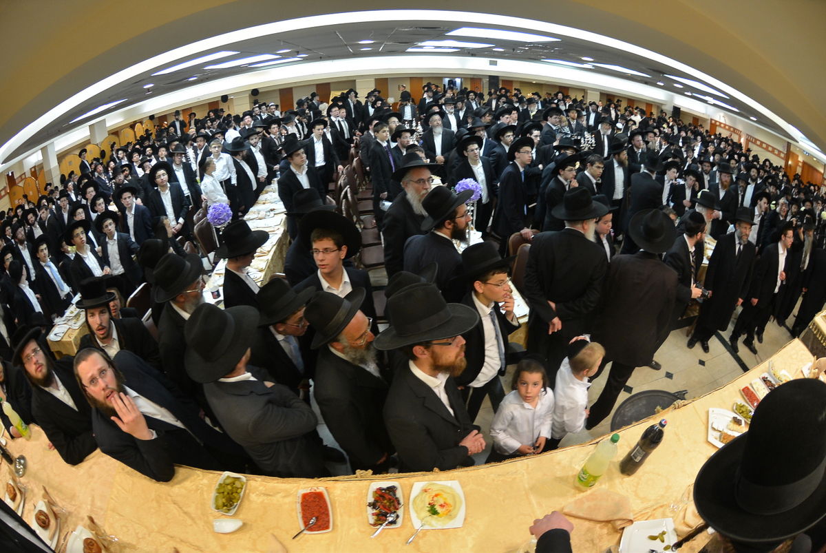 הכנסת ספר תורה לזכר הגרי"ש אלישיב • גלריה