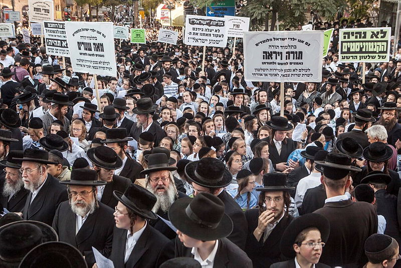 הפגנה חרדית, הרב מבריסק נגד או בעד?