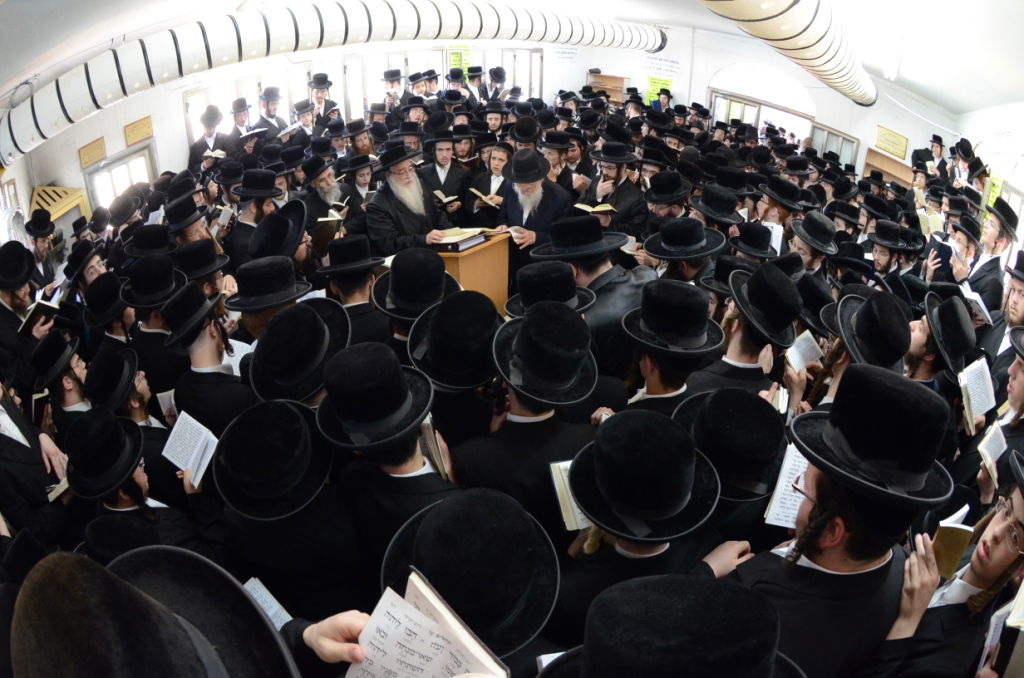 צאנז: יארצייט לבעל ה"שפע חיים" זי"ע