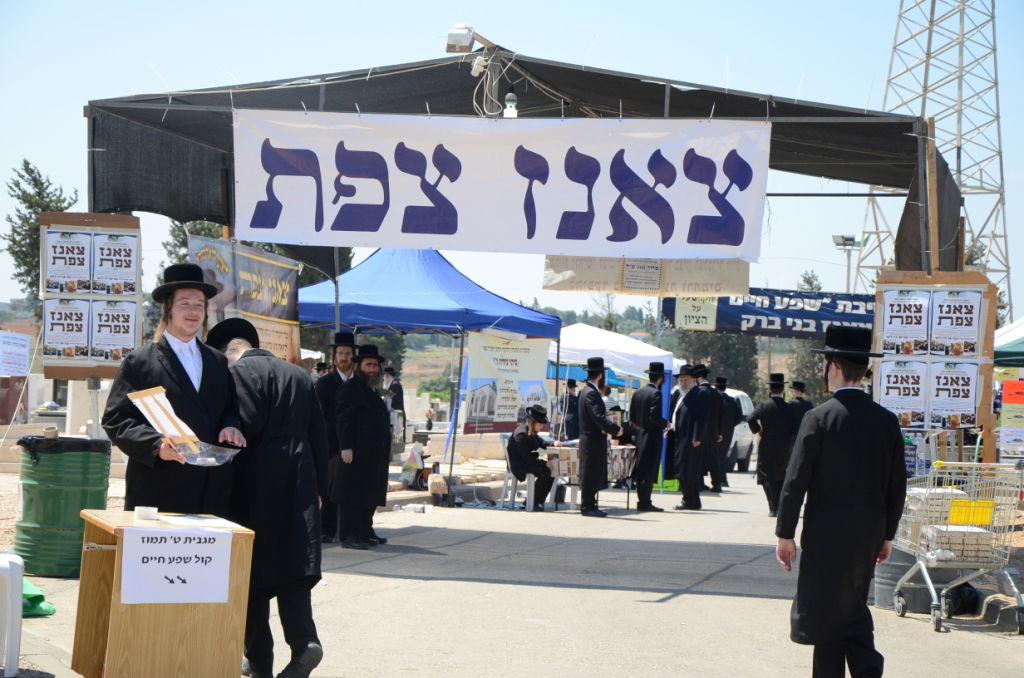 צאנז: יארצייט לבעל ה"שפע חיים" זי"ע