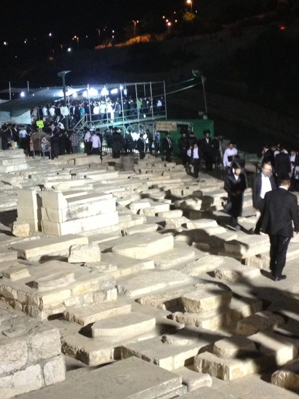 הילולת בעל האור החיים • תמונות