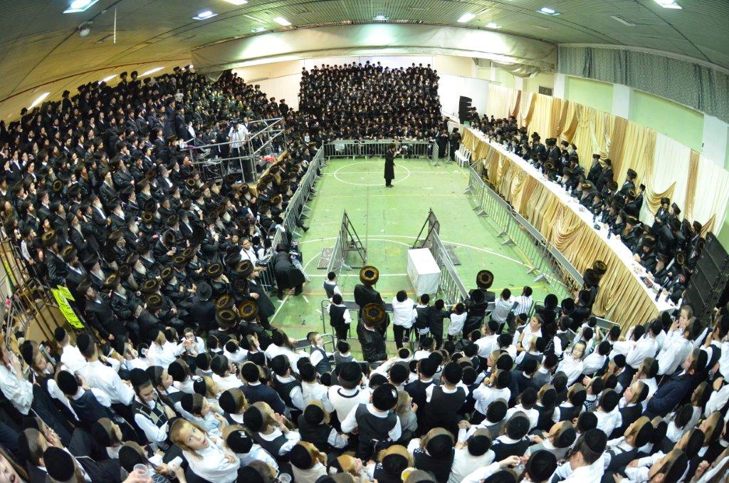 מצהלות חתנים: חתונת נכד האדמו"ר מערלוי • צפו