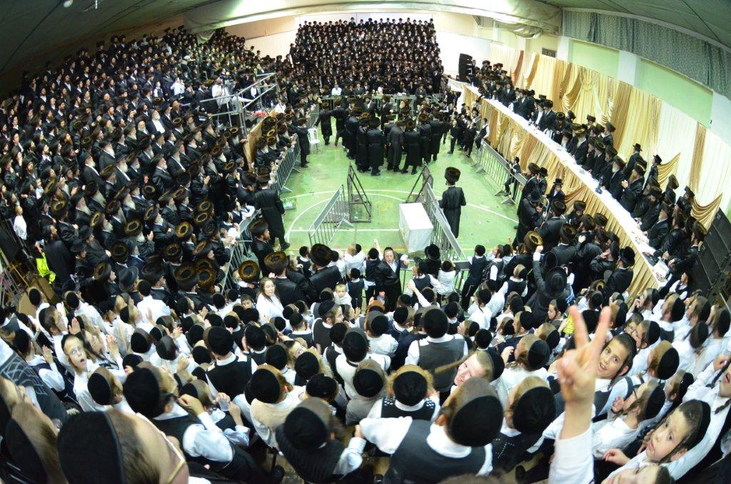 מצהלות חתנים: חתונת נכד האדמו"ר מערלוי • צפו