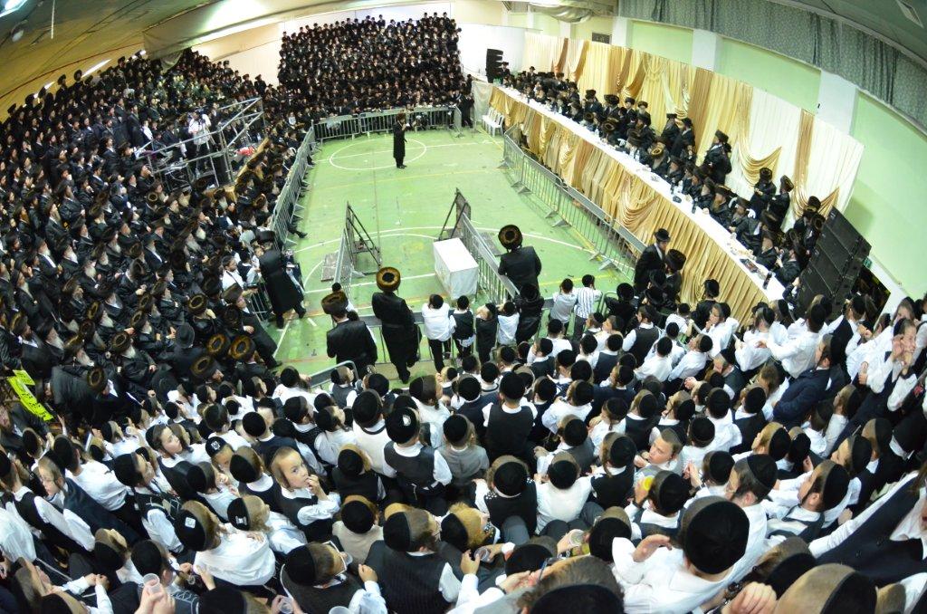 מצהלות חתנים: חתונת נכד האדמו"ר מערלוי • צפו