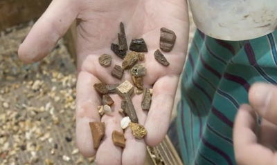 מיוחד:  מה מסתתר ב'זבל' של הר הבית? • צפו בוידאו