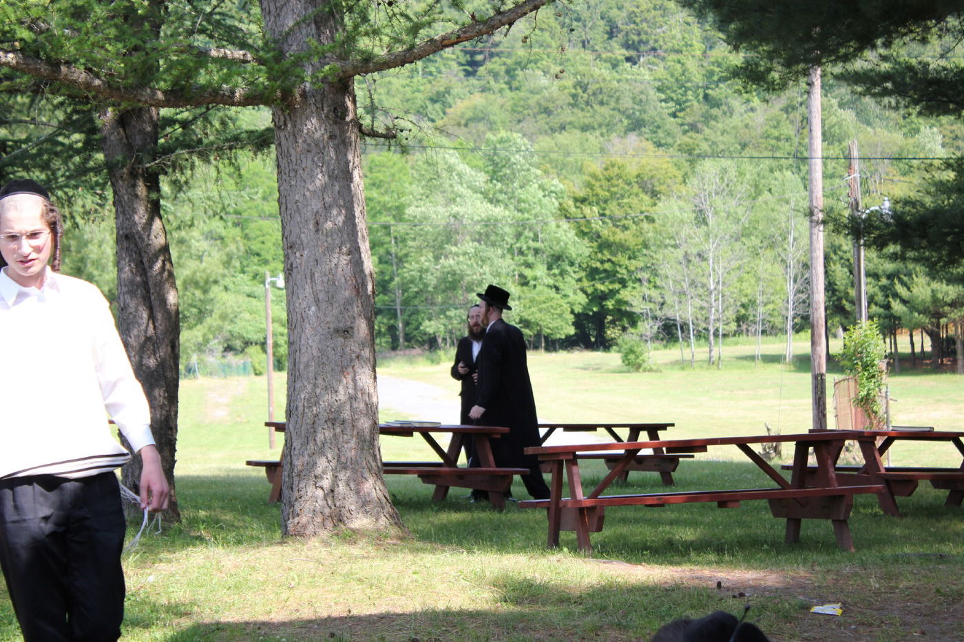 החרדים של אמריקה יוצאים לקאנטרי • גלרית ענק