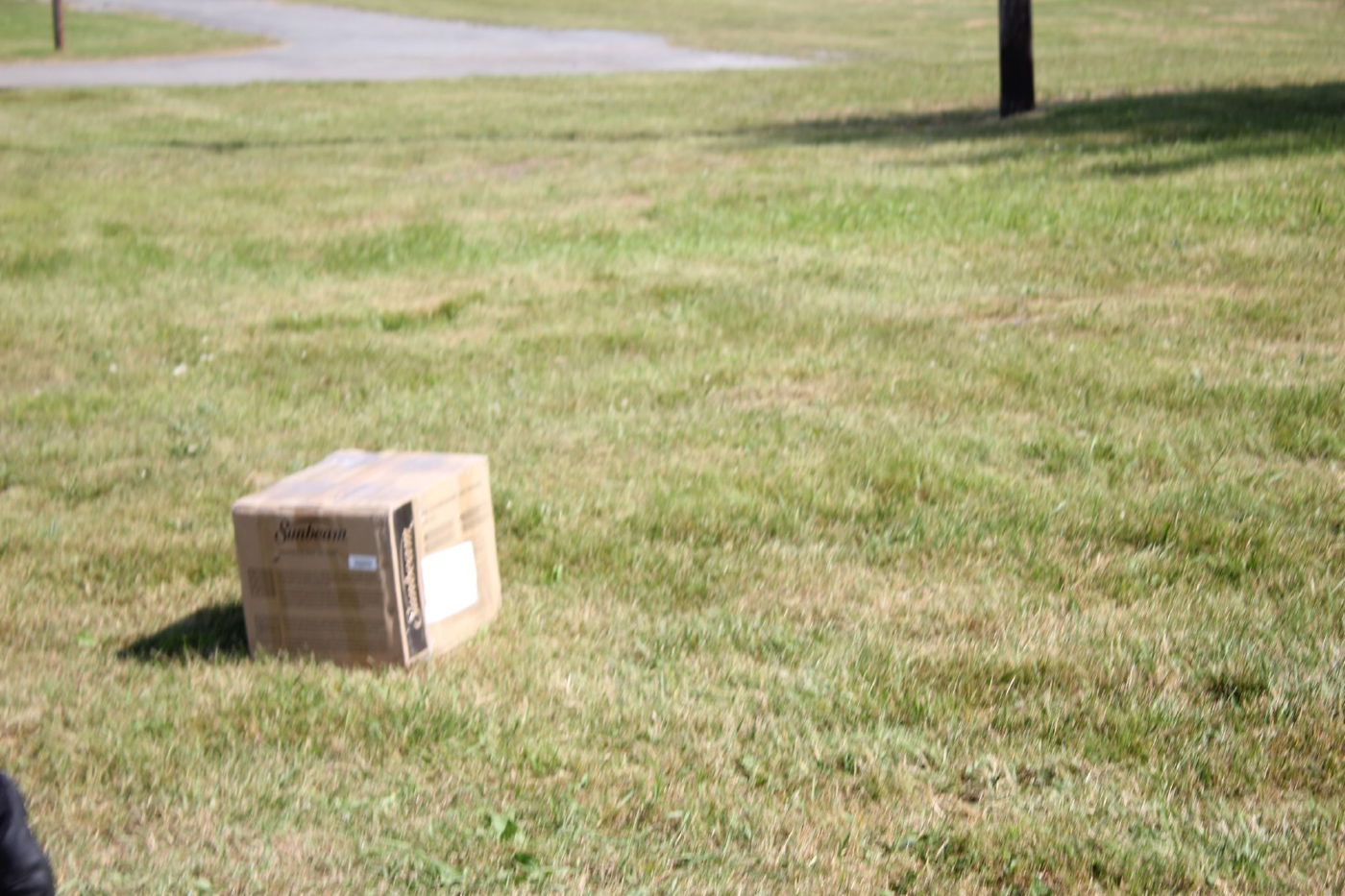 החרדים של אמריקה יוצאים לקאנטרי • גלרית ענק