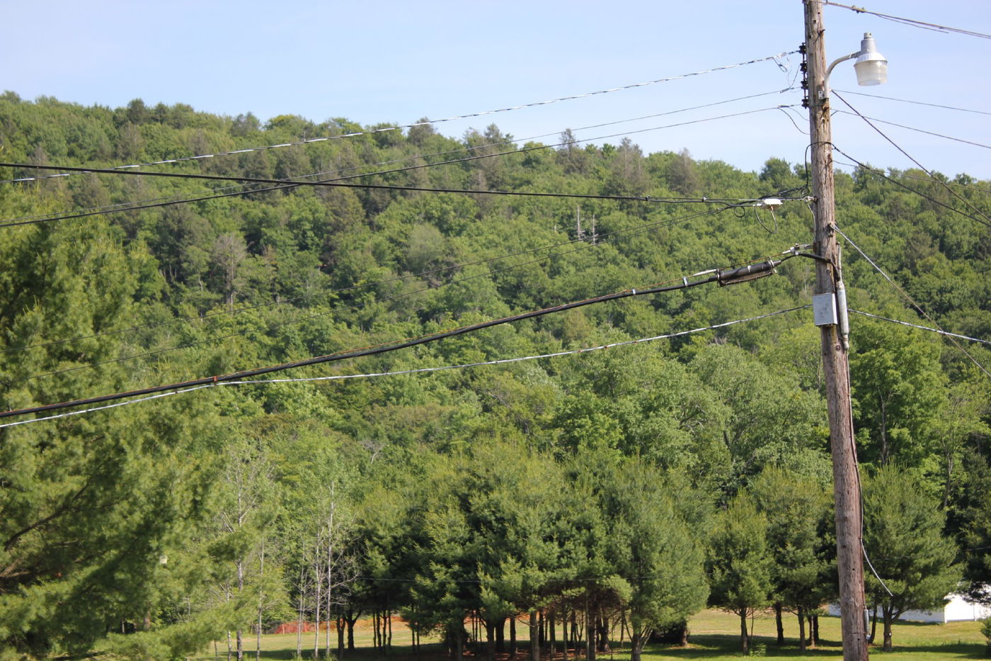החרדים של אמריקה יוצאים לקאנטרי • גלרית ענק