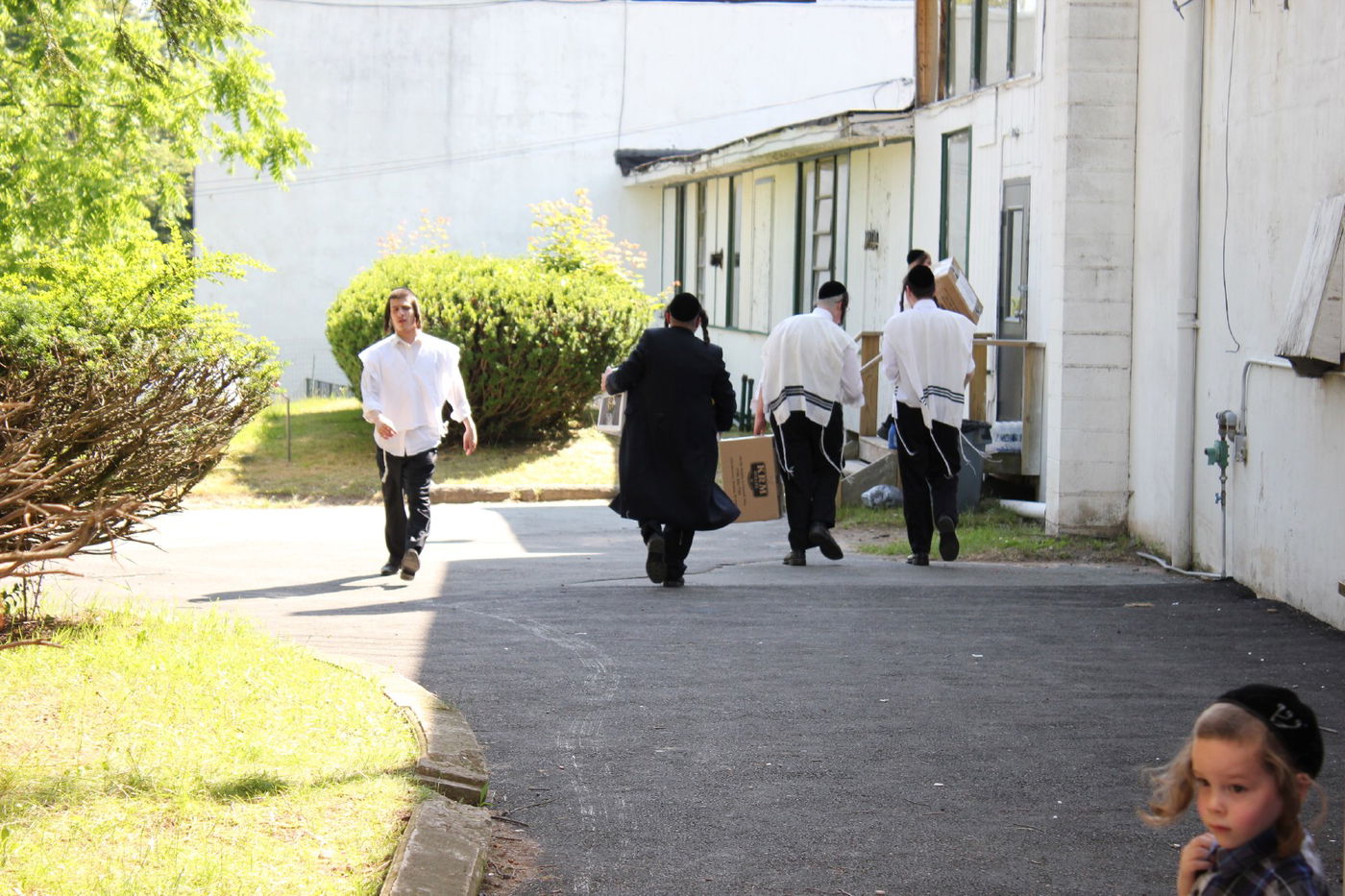 החרדים של אמריקה יוצאים לקאנטרי • גלרית ענק