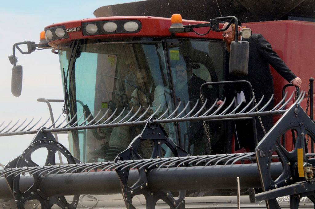 הקציר של הרבי סאטמר: צפו בגלרית ענק מאריזונה