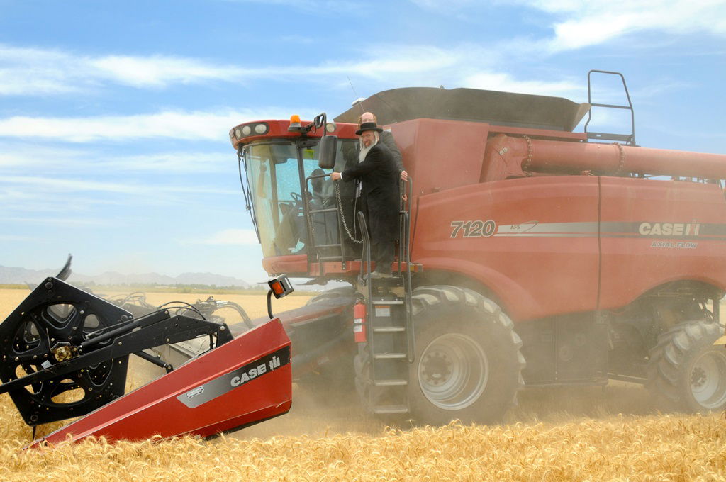 הקציר של הרבי סאטמר: צפו בגלרית ענק מאריזונה