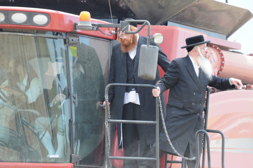 הקציר של הרבי סאטמר: צפו בגלרית ענק מאריזונה