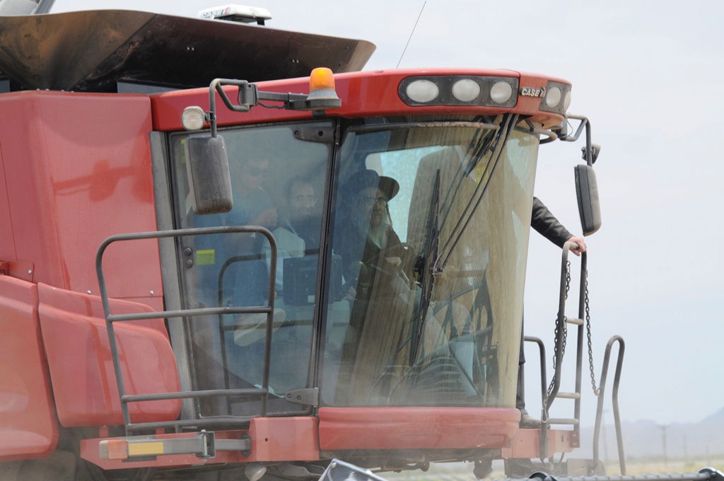 הקציר של הרבי סאטמר: צפו בגלרית ענק מאריזונה