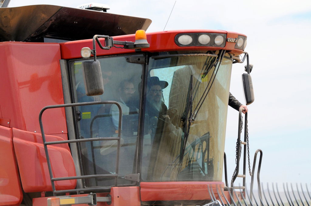 הקציר של הרבי סאטמר: צפו בגלרית ענק מאריזונה
