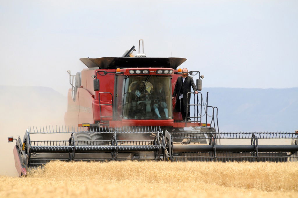 הקציר של הרבי סאטמר: צפו בגלרית ענק מאריזונה