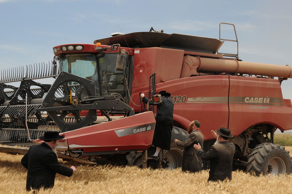 הקציר של הרבי סאטמר: צפו בגלרית ענק מאריזונה