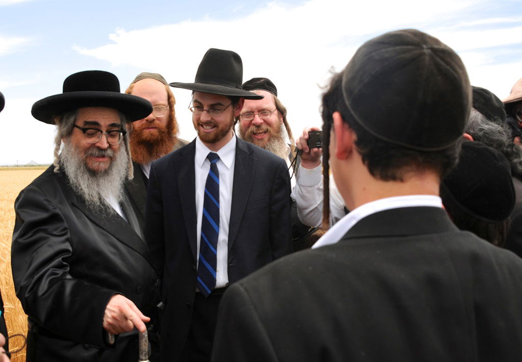 הקציר של הרבי סאטמר: צפו בגלרית ענק מאריזונה