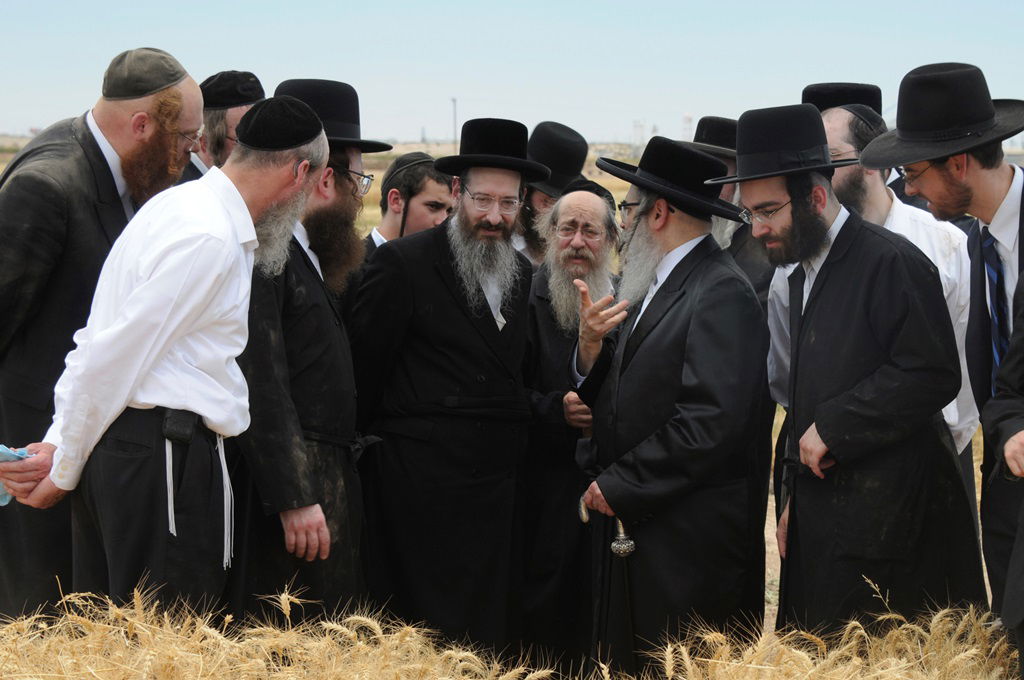 הקציר של הרבי סאטמר: צפו בגלרית ענק מאריזונה